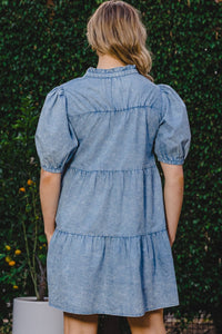 Nova Denim Dress