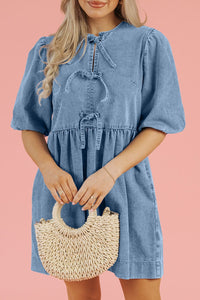 Dakota Denim Dress