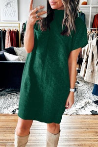 Tiara Sweater Dress