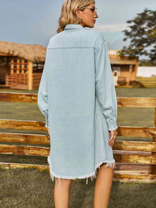 Alanis Denim Dress