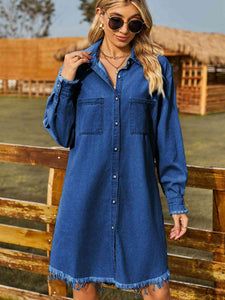 Alanis Denim Dress